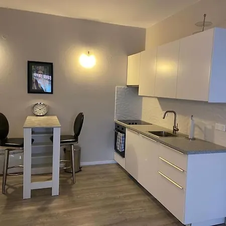 Apartment Luxe- 10min To Old Town
